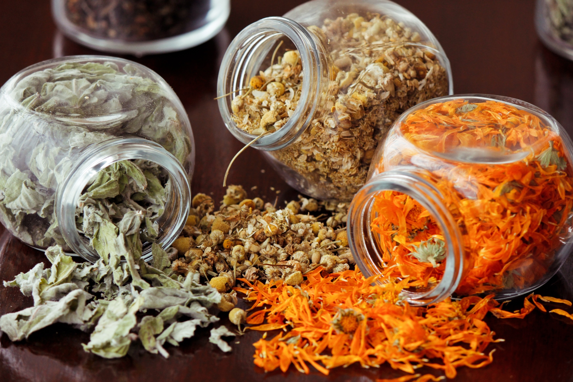 Organic Herbs and Spices Collection